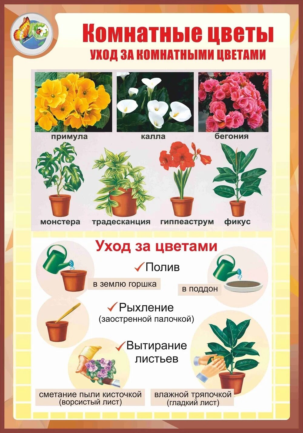 Планирование по теме комнатные растения. Уход за комнатнамирастениями. комнатные растения плакат для дошкольников. комнатные растения для дошкольников. алгоритм ухода за растениями.