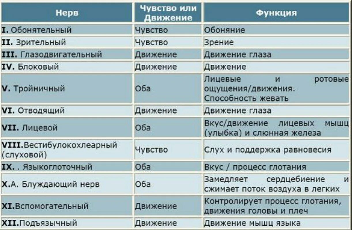 12 Пара черепно мозговых нервов функции. 12 Пар черепно мозговых нервов таблица. Таблица функции 12 пар черепно-мозговых нервов ЧМН. 12 Пар черепных нервов таблица.