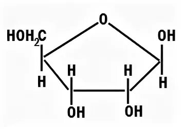 Рибоза структурная. Рибоза формула структурная формула. Рибоза структурная формула. Рибоза полуструктурная формула. Молекула рибозы формула.