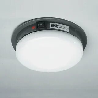 Dome light
