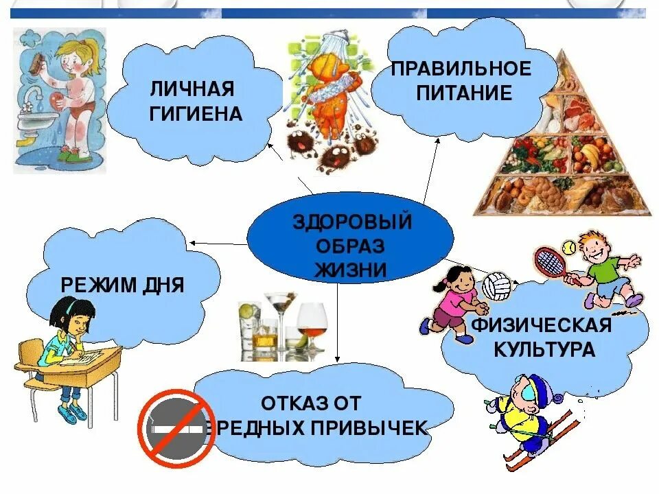 Образовательные привычки