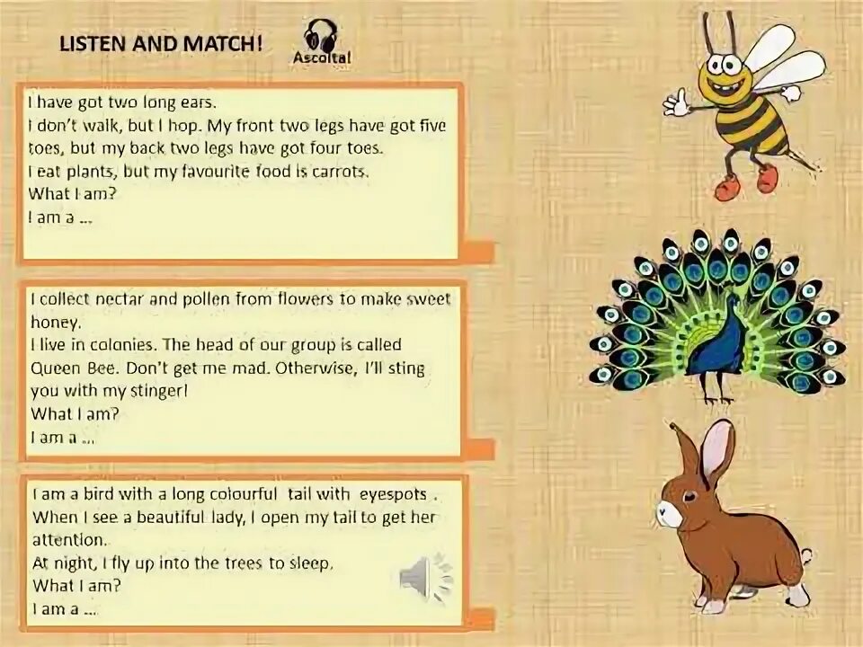 Как пройти игру pets riddles. Riddles about animals for kids. animal riddles for kids. english riddles animals. animal riddles 2 в картинках с ответами.