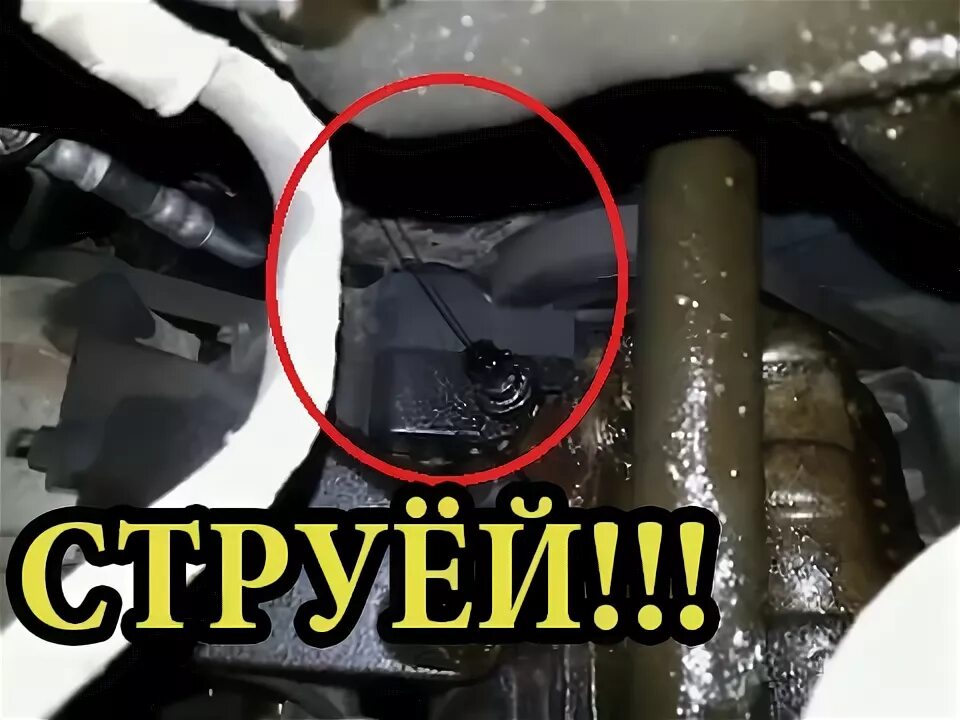 Как устранить утечку масла. Давануло масло с двигателя. выдавило масло из двигателя. причина течи масла шевроле лачетти. масло на блоке двигателя справа шевроле лачетти.