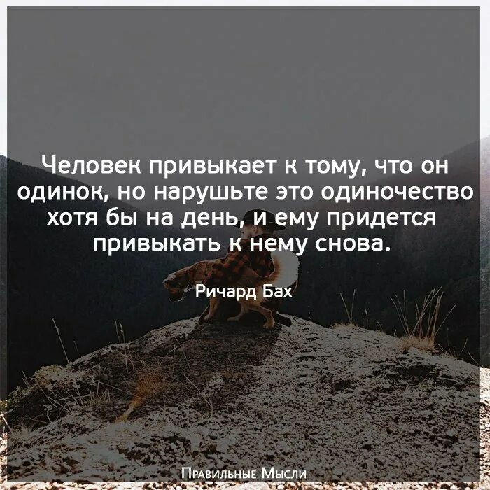 Нужно привыкать к новым. Цитаты про привыкание к человеку. Привыкнуть к человеку цитаты. Высказывания про одиночество. Человек привык к человеку.