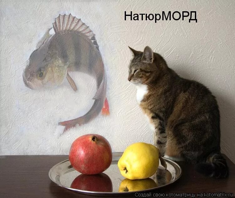 Что то мерещится. Мерещится. Мерещится прикольные. Смешные высказывания про холостяков. Мерещится.