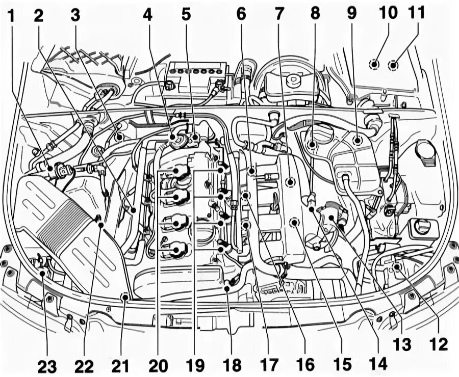 Схема мотора и датчиков 1.8 t бора Volkswagen Golf 1991-1997: Engine cooling system (Petrol engine / Cooling system