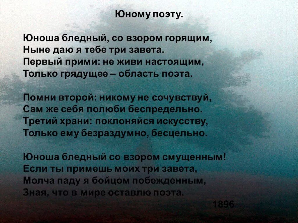 Брюсов юному поэту стихотворение. Брюсов юноша бледный со взором. Стих юному поэту. Юноша бледный со взором горящим. Стихотворение брюсова юному поэту.