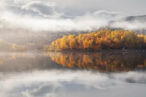 Осени дым