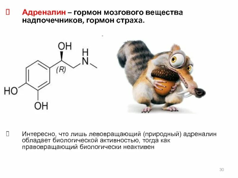 Вызывающий тревогу гормон. Адреналин гормон. Адреналин гормон стресса. Выработка адреналина в организме. Гормон адреналин химическая структура.