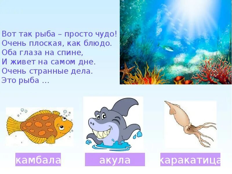 Отгадай загадку в море