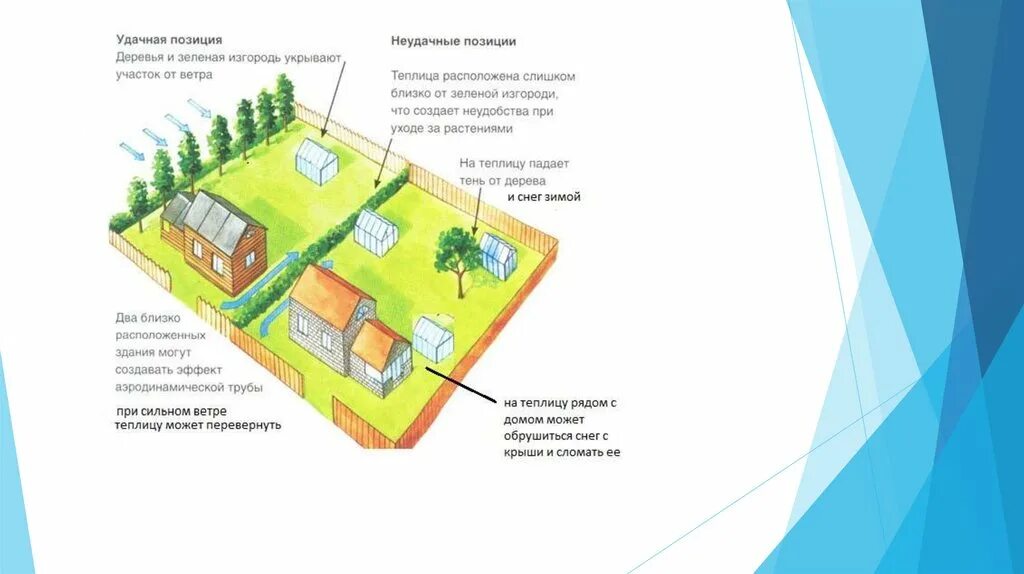 Как ставить теплицу относительно сторон света. Ориентация теплицы на участке. Расположение теплицы по сторонам света. Размещение теплицы на участке по сторонам света. Расположение парника на участке по сторонам света.