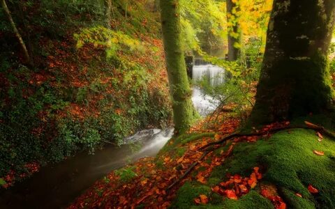 Natural fall