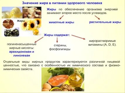 Жиры в организме являются обязательной составной частью