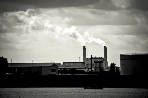 Environmental ltd