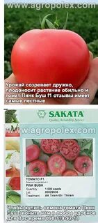 Пинк буш отзывы