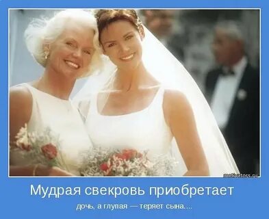 Сын невестка картинка