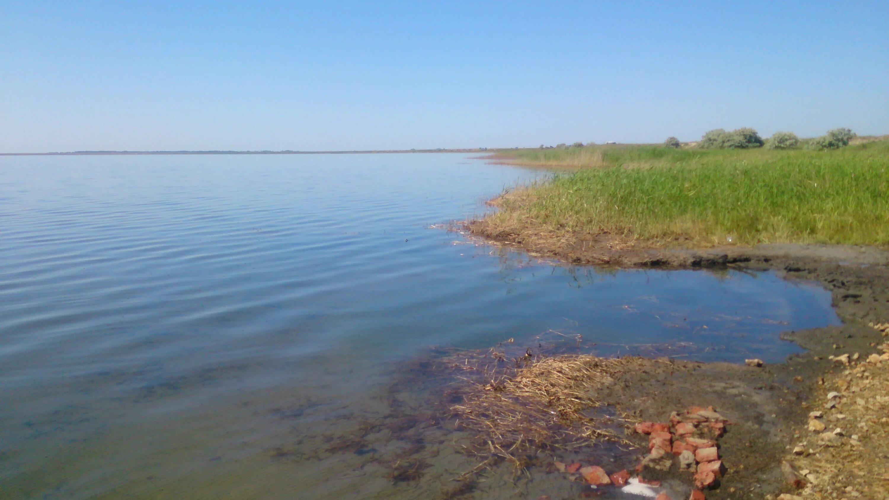 Погода в зункаре. Озера Чаны и Карачи. Озеро Карачи Новосибирская область. Хохловатое озеро Еткульский. Озеро-Карачи (посёлок).