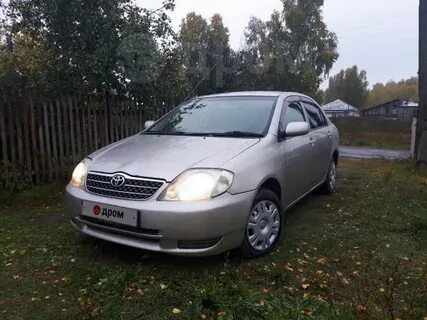 Дром барнаул алтайский край