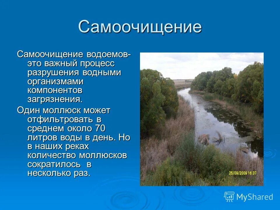 Река числа. Река числа