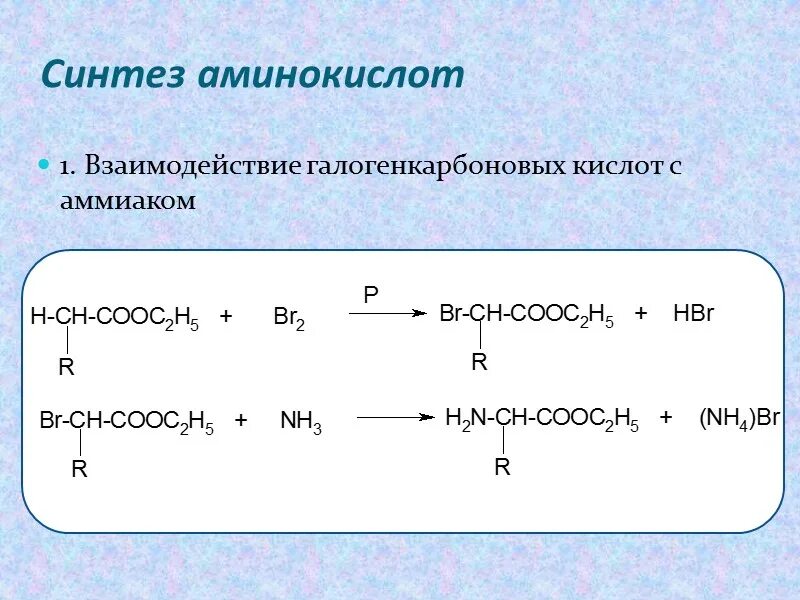 Аминоуксусная кислота уравнение реакции. Синтез аминокислот. Аминокислота и аммиак реакция. Взаимодействие аминокислот с аммиаком. Галогенкарбоновые кислоты.