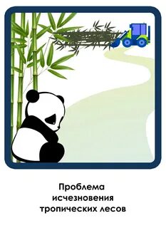 Окружающий мир проблема исчезновения тропических лесов