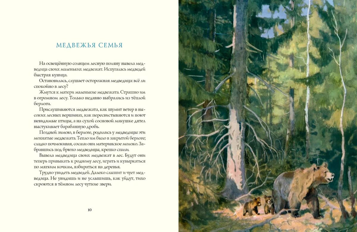 Описание природы в рассказе весенний остров