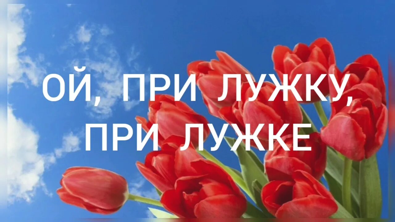 Как при лужке при лужке. Прилужки. при лужке. ой прилужке при лужке. ой при лужке караоке.