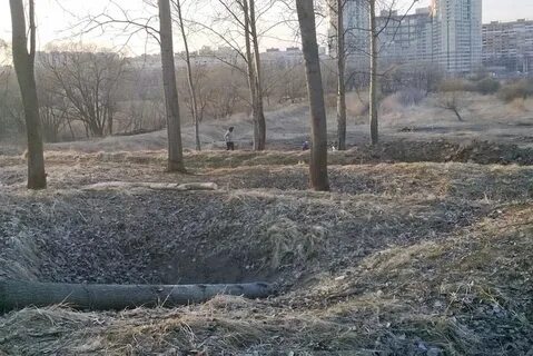 Карта полежаевского парка