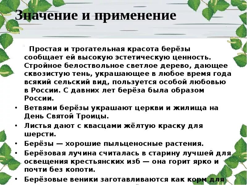 Сквозистый значение слова. Ценность березы. В чем ценность березы. Употребление значений слова береза. Белая береза это ценность российского народа.