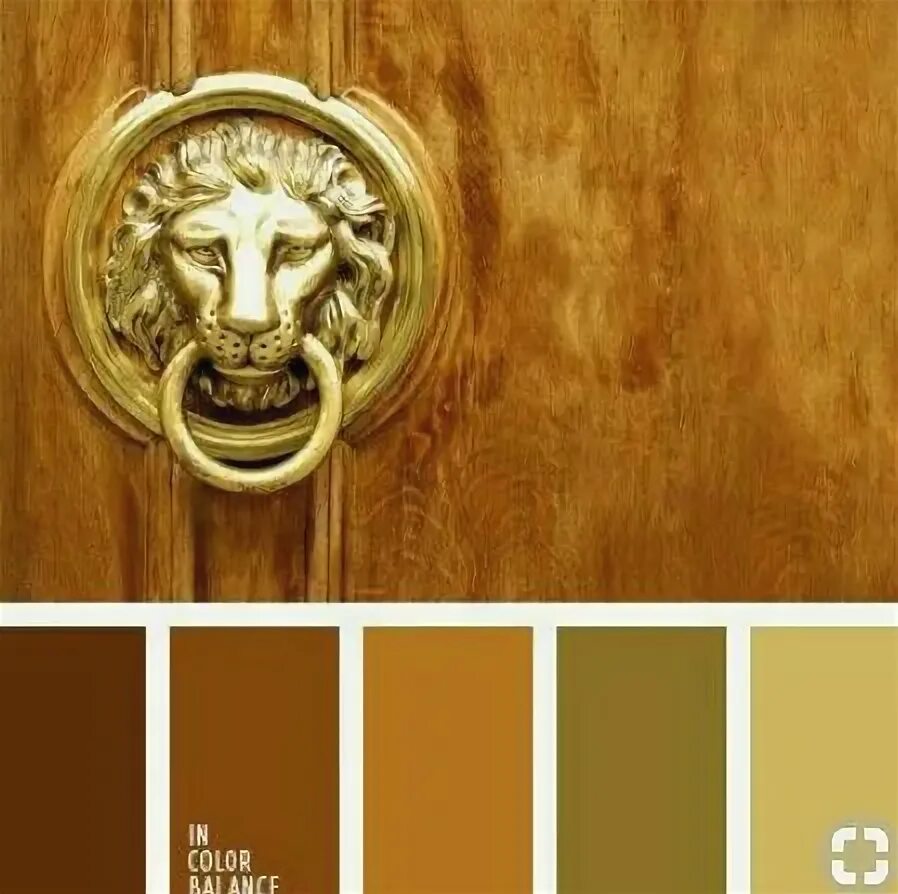 Pin by Christine Budack on Color Combos Bronze color palette, Bronze color schem