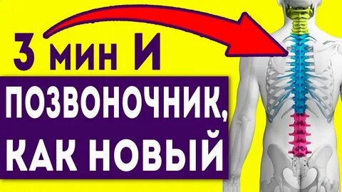 Избавиться от боли в спине навсегда