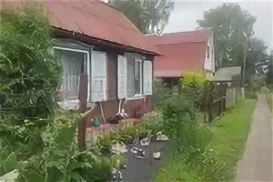 Dacha 2024