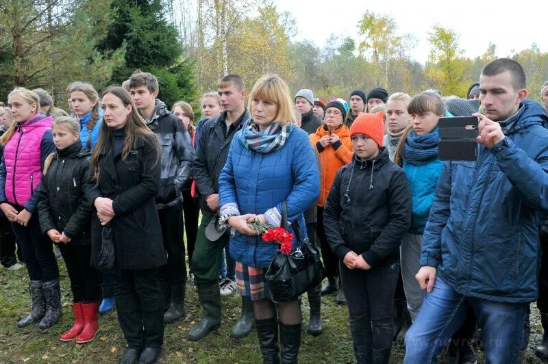 Сайт демянского муниципального. Вотолино Демянский район. Костьково Демянский район. Новгородская область Демянский район Демянская средняя школа. Деревня Костьково Демянского района.