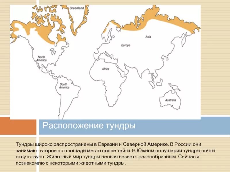 Тундра на карте полушарий. Тундра на карте. Тундра Евразии на карте.