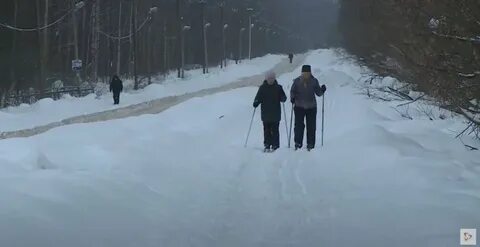 Тропа здоровья череповец зашекснинский