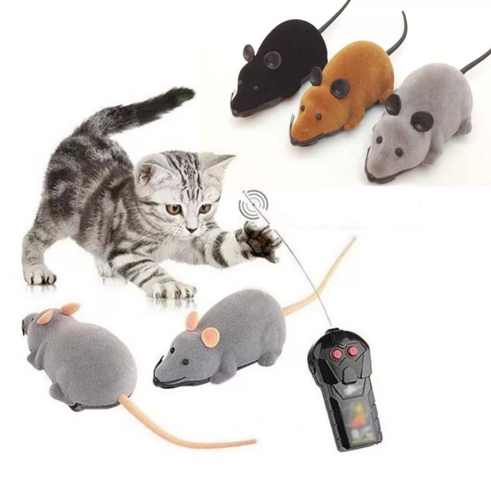 Мышка на пульте управления для кошки. Игрушка мышка на батарейках. Мышка для кошки на батарейках. Игрушечные мышки для кошек. Мышь со звуком для кошек