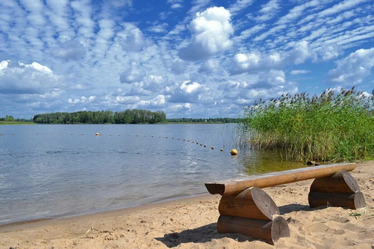 Озера области для купания. Озеро Кипень. Майская коса на Селигере. Кавголовское озеро. Пляж в Осташкове на Селигере.