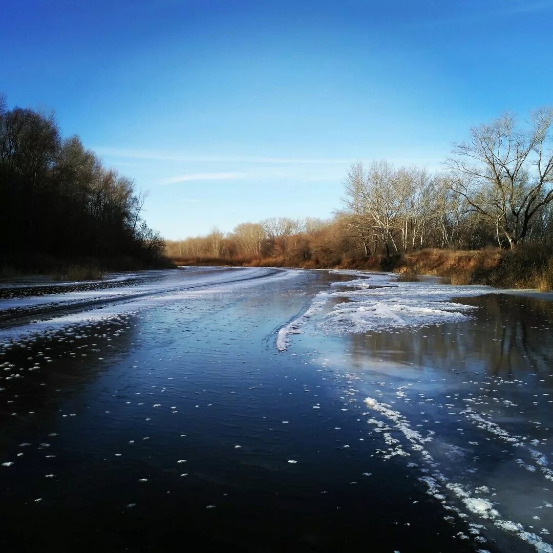 Замерзшая река. Сызранка река зима. Замерзшие ветки. Вода в реке замерзла