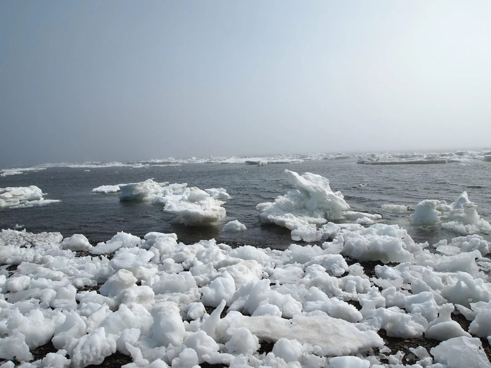 Северо восточные моря россии. Восточно Сибирское море. Восточно-Сибирском мор. Восточносибирсое море. Восточно Сибирское море ледовитость.