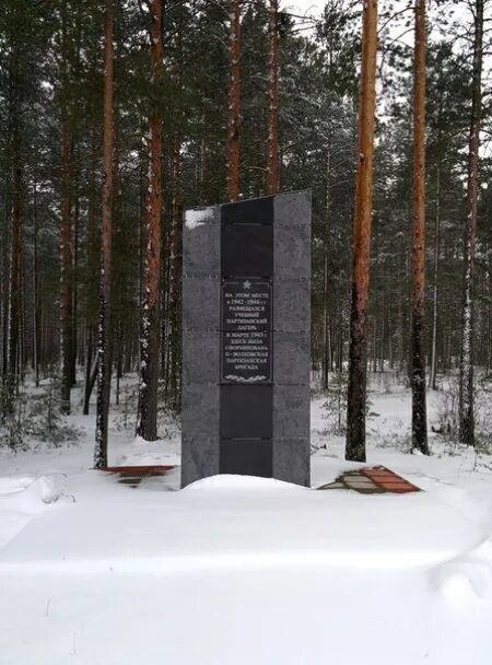 П хвойная новгородская. Посёлок Хвойная Новгородская область. Поселок Хвойная Новгородской области в годы войны. РП Хвойная Новгородская область. Посëлок хвойный Новгородская область деревня Мойнихан.