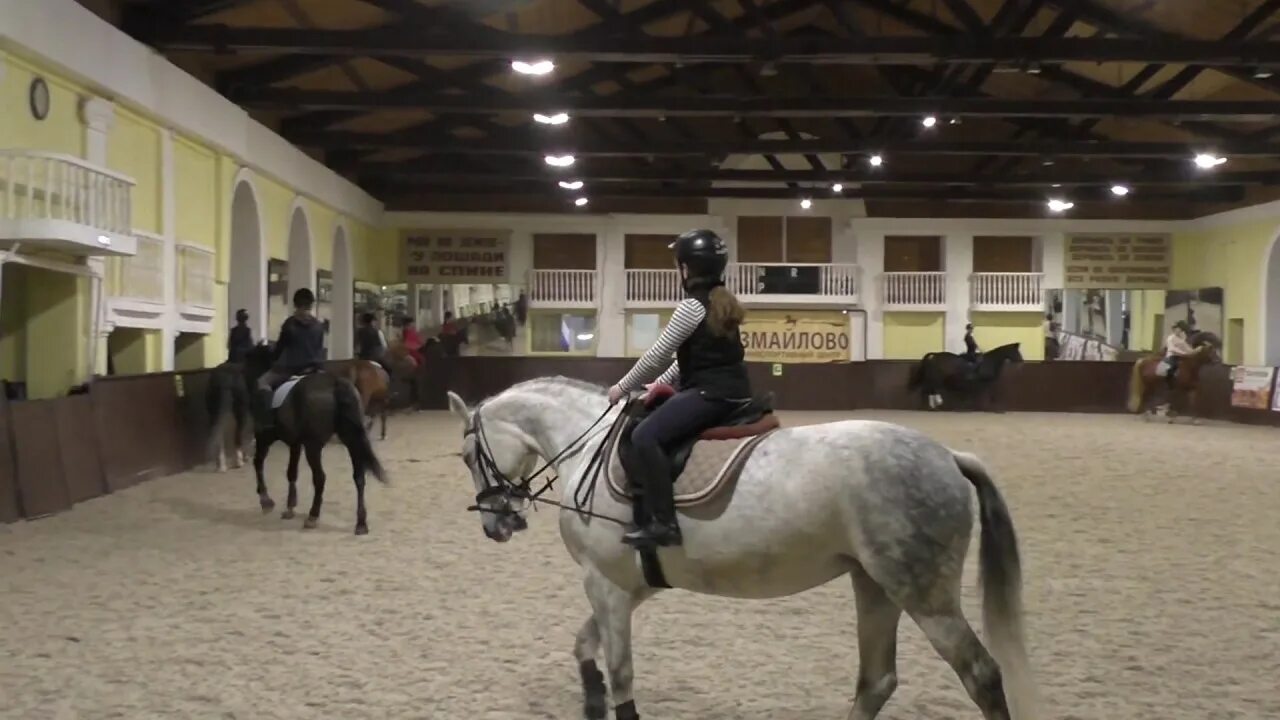 Кск свежие вакансии. КСК Измайлово манеж. КСК Измайлово Гайдамак. КСК Измайлово лошади. КСК Измайлово Тесса.