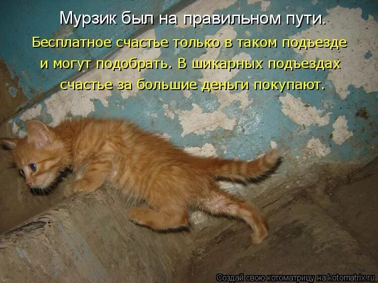 Самую последнюю пожалуйста