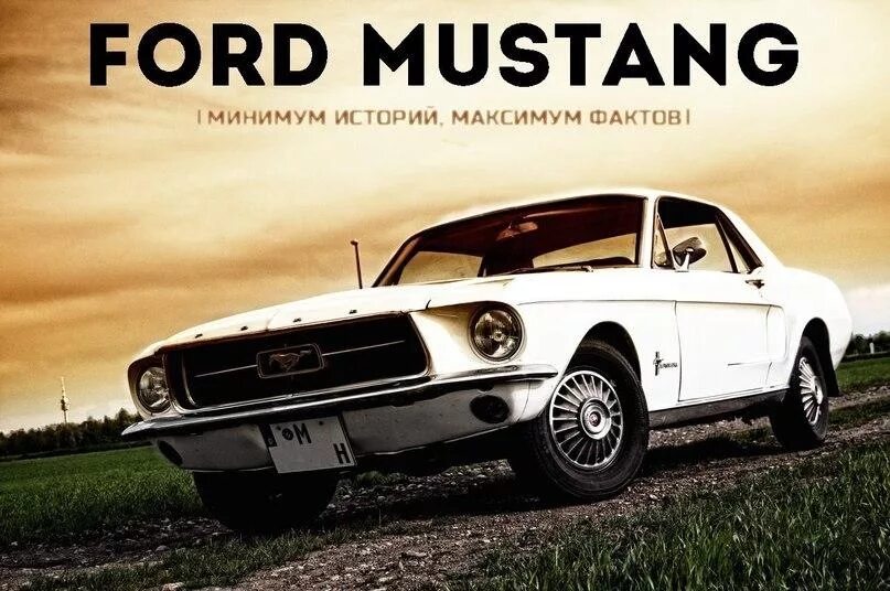 Ford mustang gt 2014. Форд мустанг 1964 1/2. Форд mustang 2005. Мустанг жив. Форд мустанг 1956.