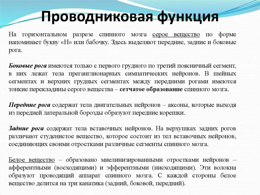 Проводниковая функция спинного мозга. Проводниковая функция спинного. Проводниковая функция примеры. Проводниковая функция спинного мозга осуществляется. Вещество спинного мозга выполняющие проводниковую функцию