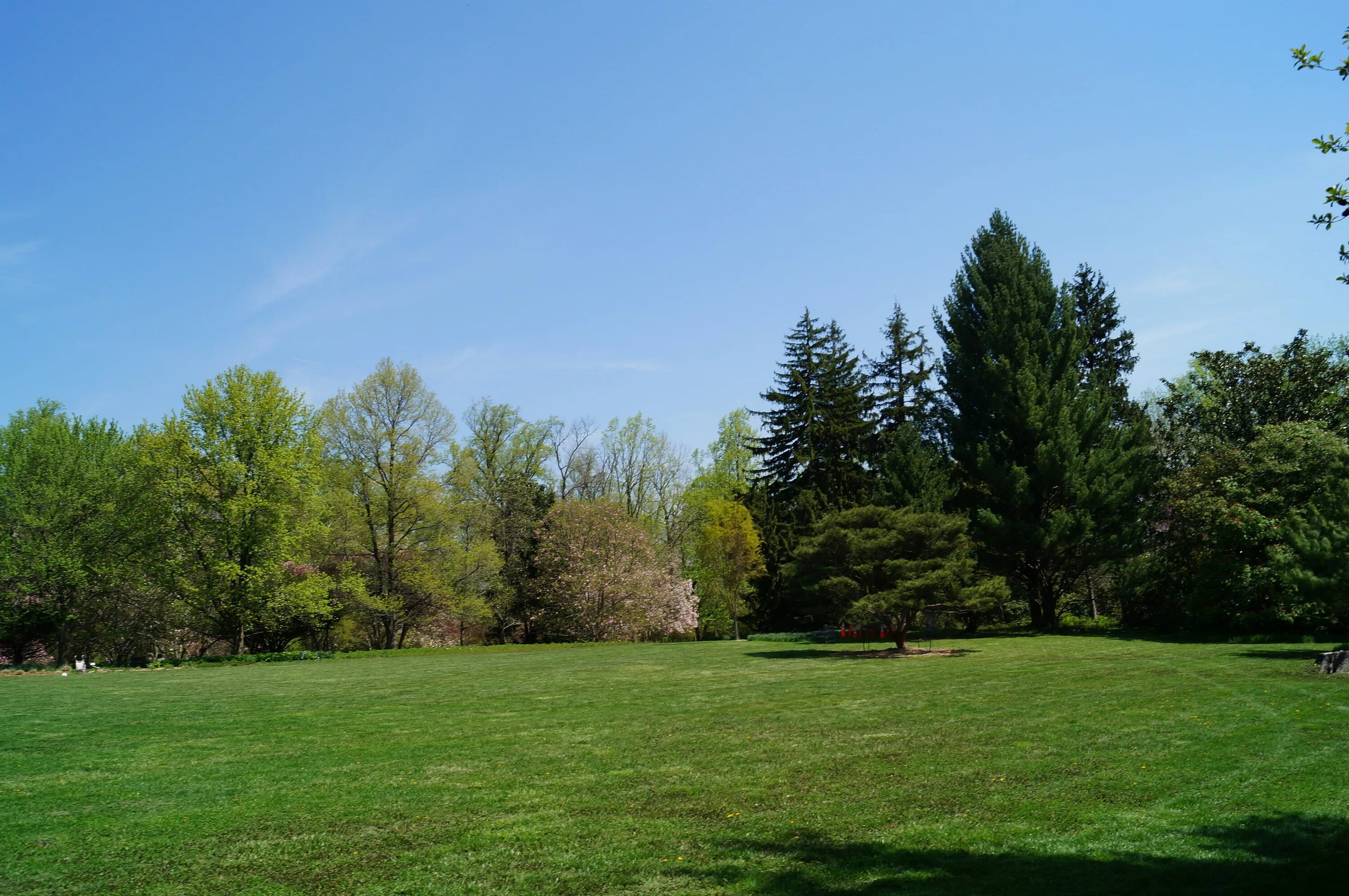 Render field