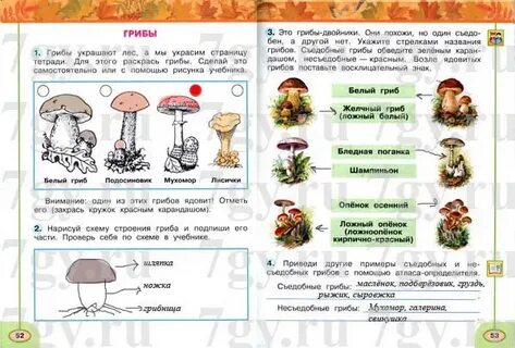 Тест грибы 3 класс окружающий мир плешаков