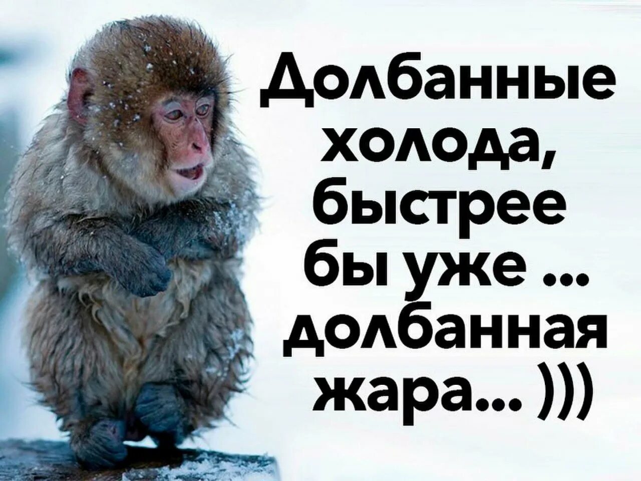 Цитаты про холод. Долбаные холода скорее бы жара. долбанные холода быстрее бы жара. долбанные холода быстрее бы уже долбанная жара. шутки про холод.