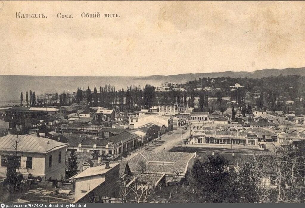 Сочи 19. Сочи 19 век. сочи 1900. сочи 1838 год. сочи начало 20 века.