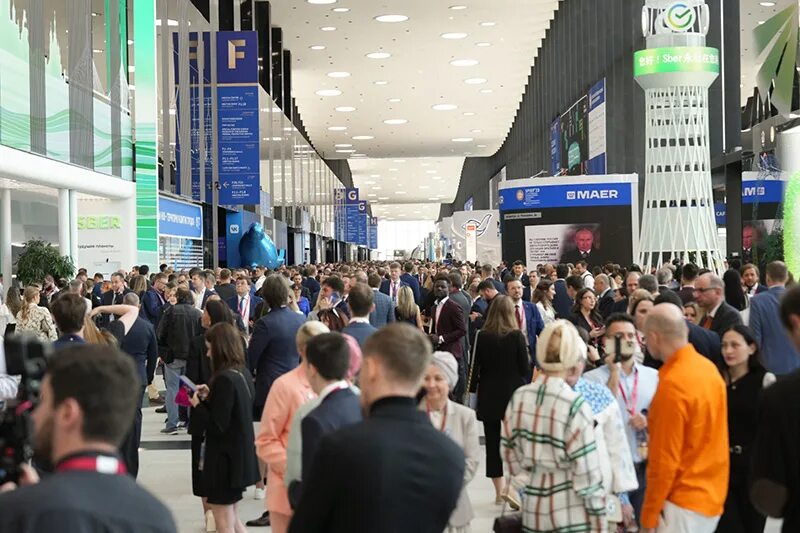 Пмэф 2025 репортаж. Пмэф 2025 репортаж