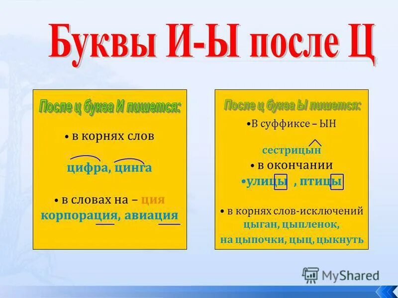 Сестрицын суффикс. Сестрицын суффикс